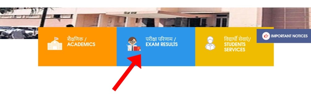 MP Vimarsh Portal Class 9th & 11th Result 2025 (Released Soon): Steps to View Result, Passing Criteria & Other Details 3 MPBSE RESULT min